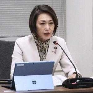 こども家庭庁虐待AI見送り こども家庭庁虐待AI見送り